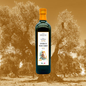 Antico Nocchio