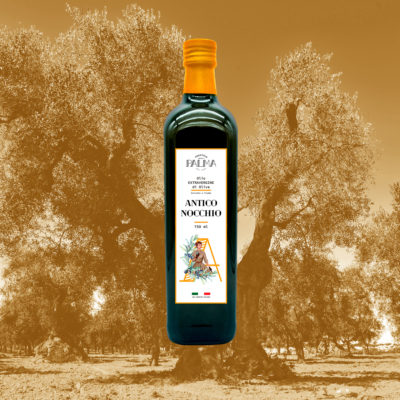 Antico Nocchio